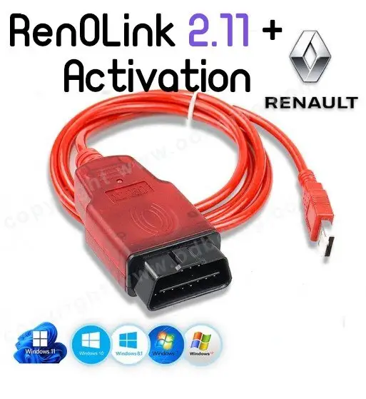 9B8C4950-CBE4-4307-AFD9-1A7C67A5103D.webp