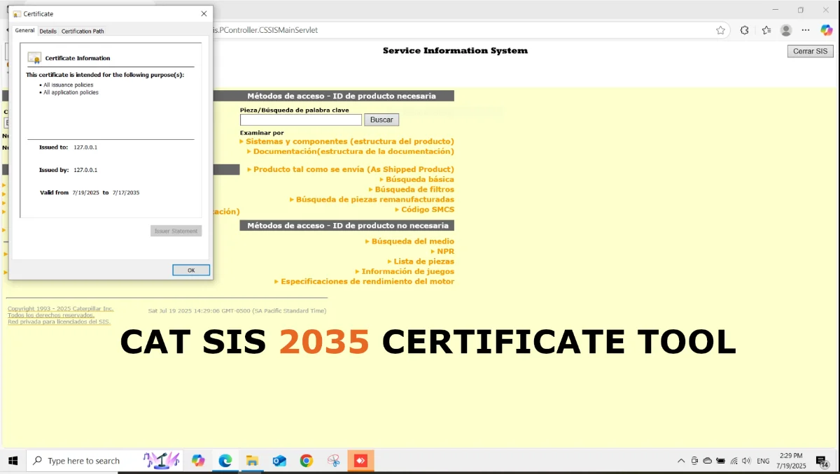 nuevo_certificado_cat_sis.png.f687efd422f9f47cf1e5148fc19f3821.webp