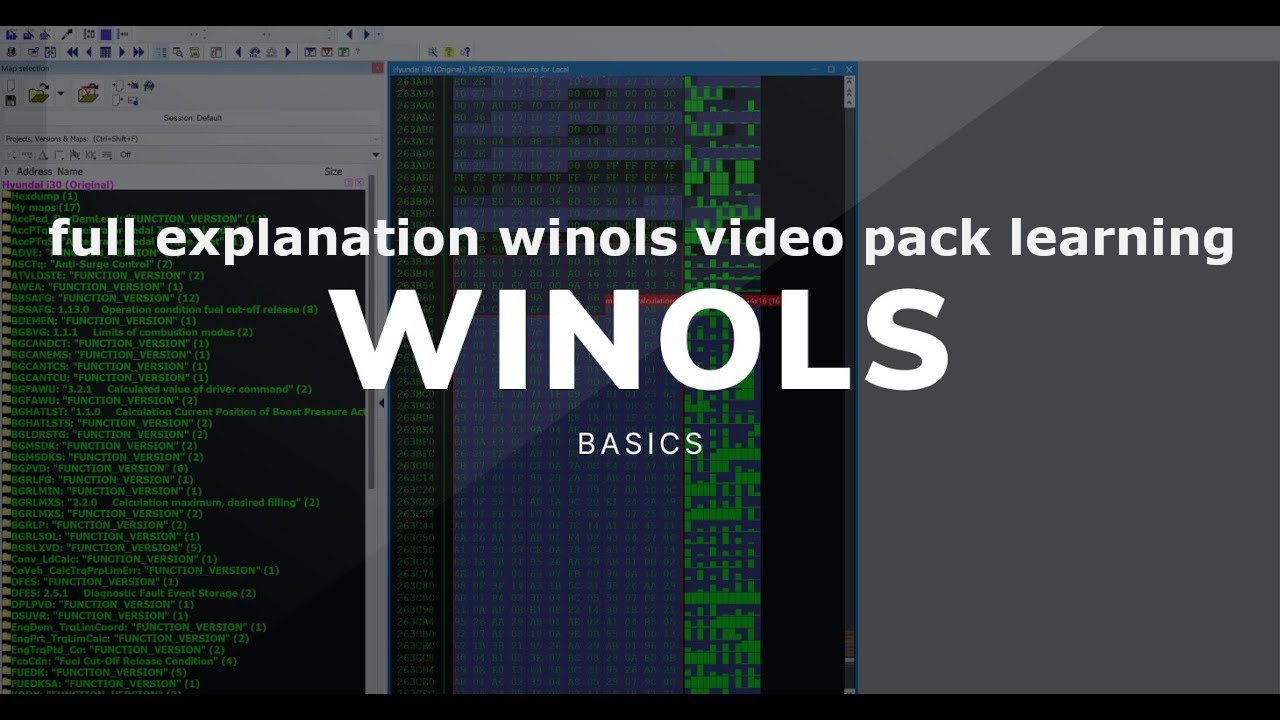 winols learning.jpg
