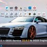 WINDOWS 11 + ODIS Service 25.0.3 & ODIS Engineering 19 2025